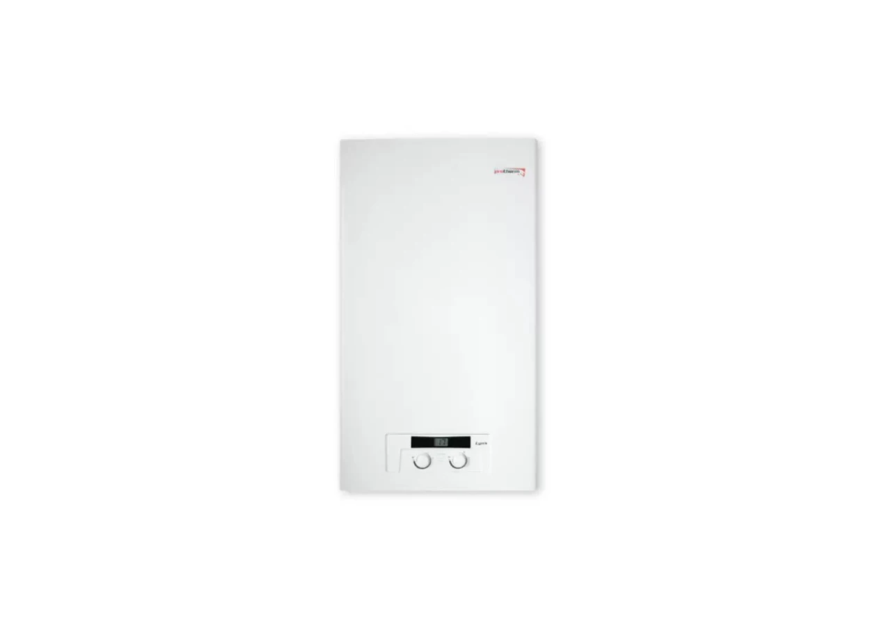 Фото 1 - Котел газовый двухконтурный Protherm Lynx 24
