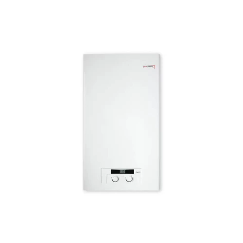 Котел газовый двухконтурный Protherm Lynx 24