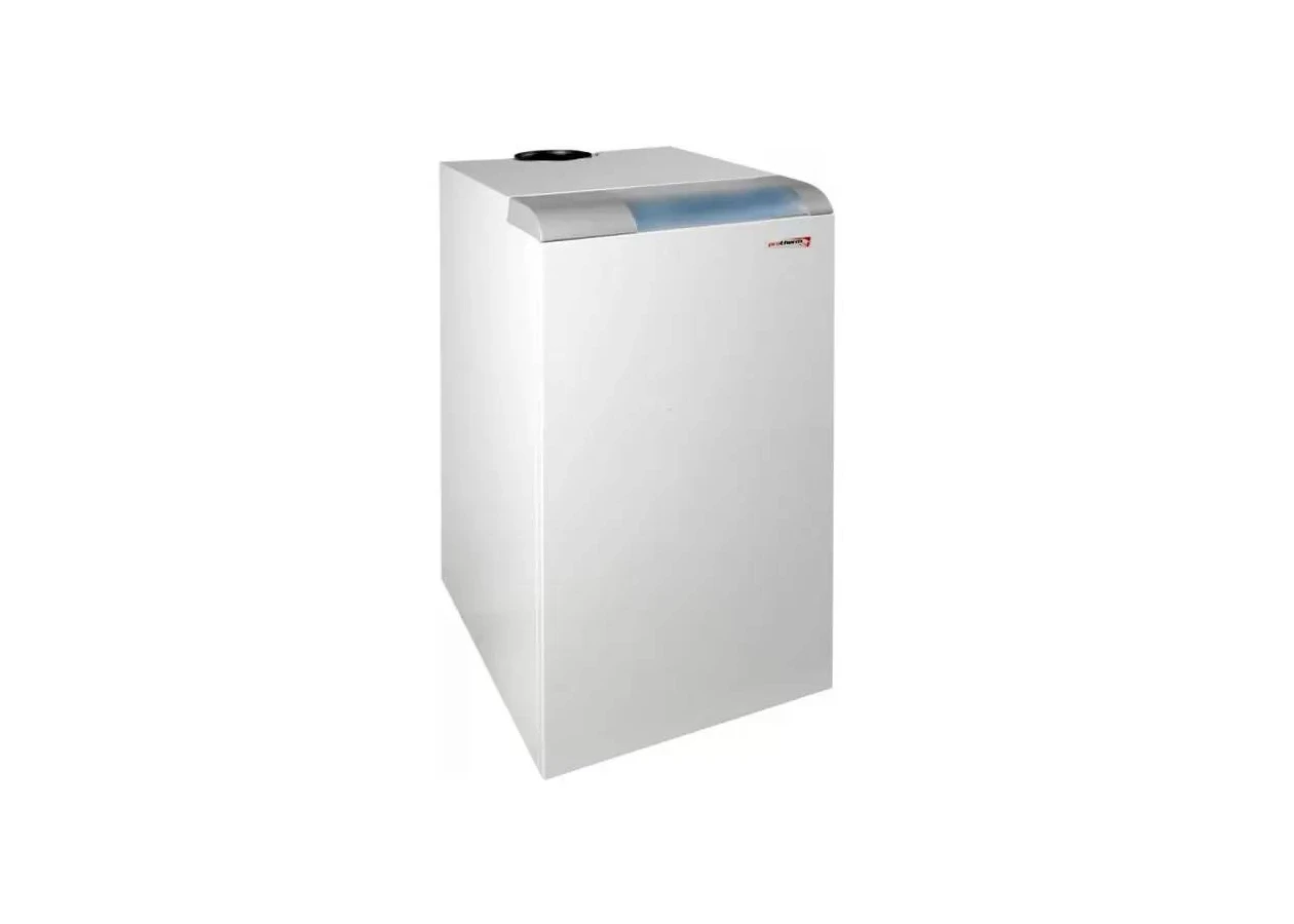 Фото 1 - Газовый котел Protherm Медведь 20-50 KLOM
