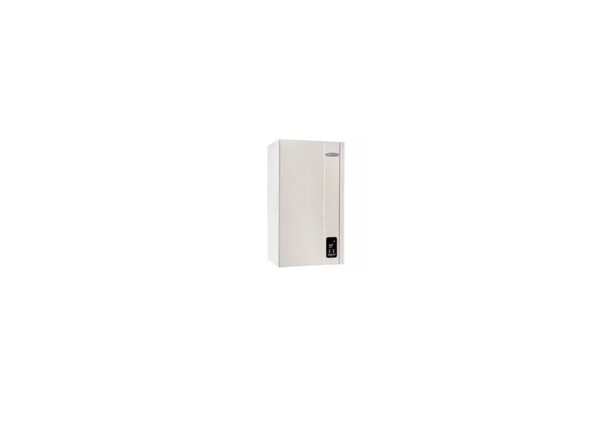 Фото 1 - Газовый котел Nova Florida Virgo CTFS